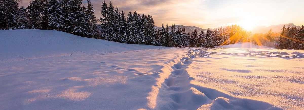 Verschneite Winterlandschaft in den Nockbergen